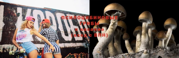 mdpv Баксан